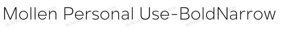 Mollen Personal Use-BoldNarrow字体转换